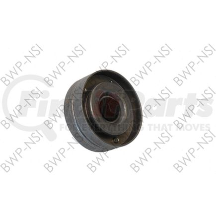 CT49125 by BWP-NSI - Continental Elite Pulley