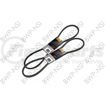 CT22430 by BWP-NSI - Continental Elite V-Belt