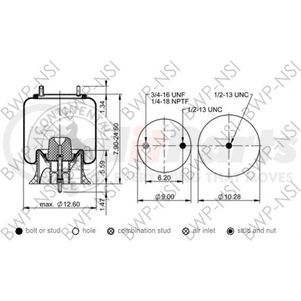 BWP-NSI AS65396 Continental Air Spring