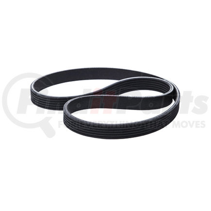 25004204 by MACK - Accessory                     Drive Belt