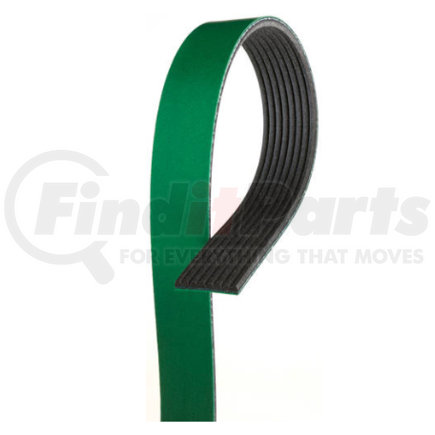 01-27116-017 by FREIGHTLINER - Accessory Drive Belt - 8 Rib, EPDM, Poly, 1445 mm