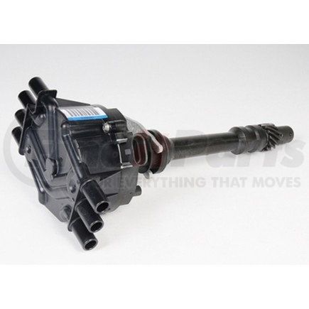 12598210 by ACDELCO - Ignition Distributor