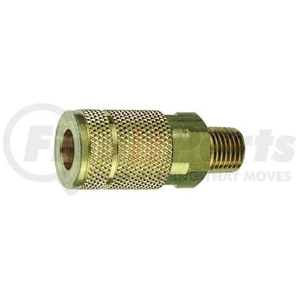 C5 by PLEWS - Coupler, 3/8" TF, 3/8" MNPT