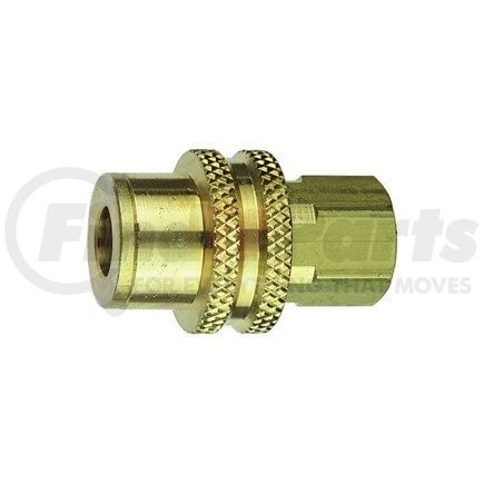 C2R by PLEWS - Plug, 1/4" Recapper, 1/4" FNPT