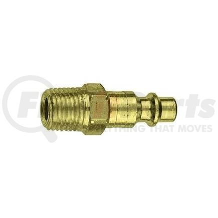 CP21B by PLEWS - Plug, Brass, 1/4" I/M, 1/4" MNPT