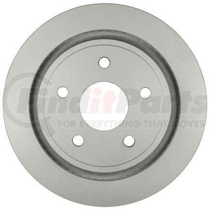 16010160 by BOSCH - Disc Brake Rotor