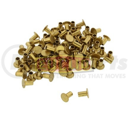 Euclid 7-5B-BK Rivet Air Brake Hardware - Rivet