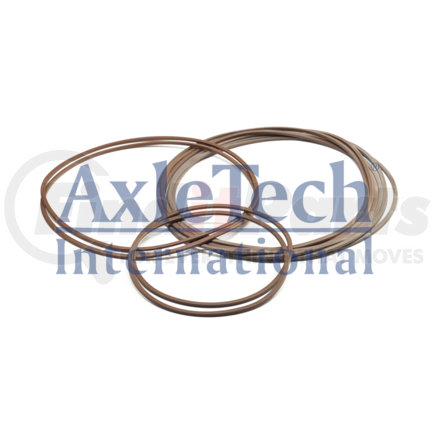 KIT2521 by AXLETECH - O-RING-KIT SPECIAL ORDER