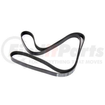 12615916 by ACDELCO - V-Ribbed Serpentine Belt