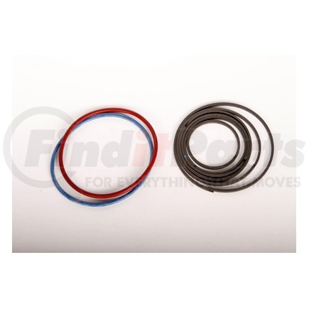 24232073 by ACDELCO - Automatic Transmission 2-4 Band Servo 2nd Apply Piston Fluid Seal Kit