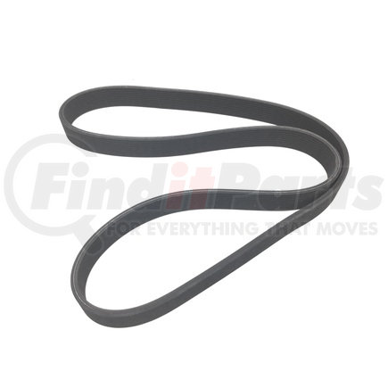 6100672 by DAYCO - SERPENTINE BELT