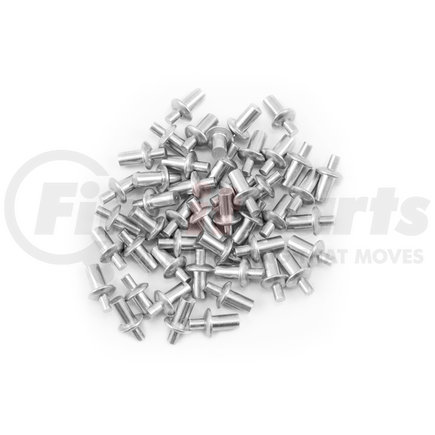 080-R089R by SAVE-A-LOAD - REPLACEMENT RIVETS FOR ALL HOOP KITS,  50 RIVETS