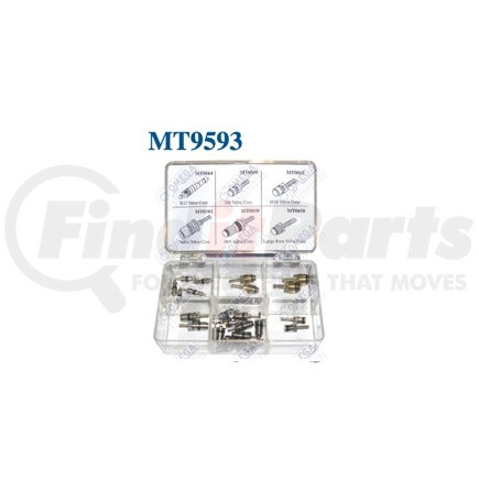 MT9593 by OMEGA ENVIRONMENTAL TECHNOLOGIES - VALVE CORE ASSORTMENT KIT