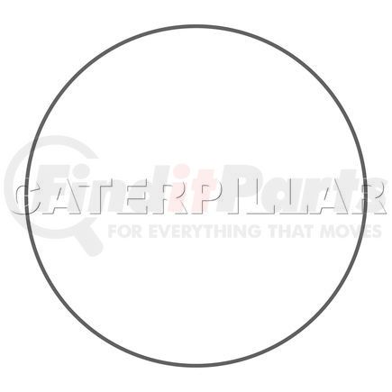Caterpillar 1922048 RING