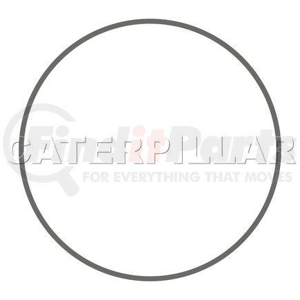 1052579 by CATERPILLAR - RING