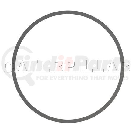 1694815 by CATERPILLAR - RING