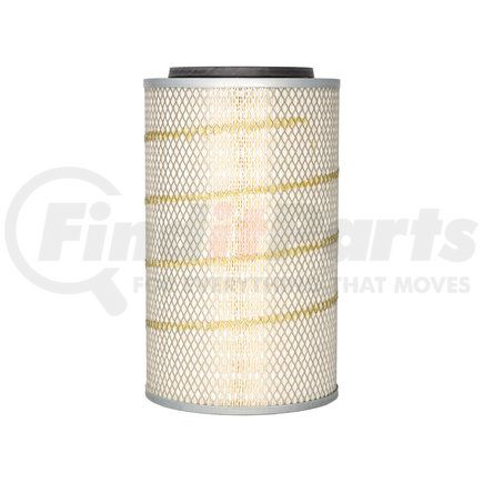 Fleetguard AF25065 Engine Air Filter Air Filter, Primary