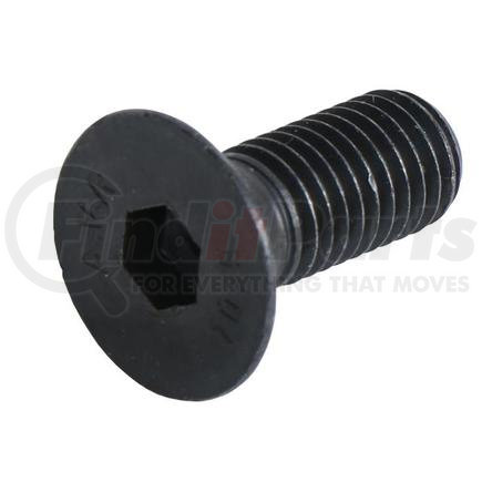 041093R1 by AGCO-REPLACEMENT - REPLACES AGCO, BOLT