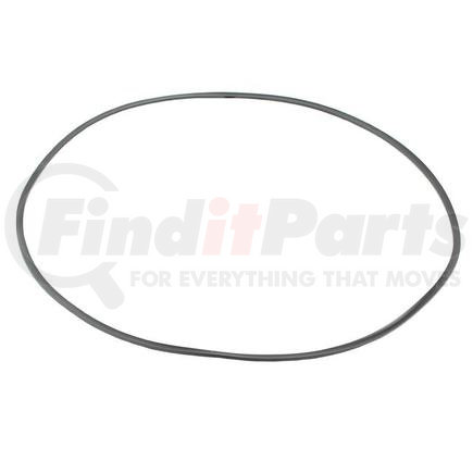 123.07.016.01 by DANA - DANA ORIGINAL OEM, BACK UP RING, REAR AXLE, 10XX