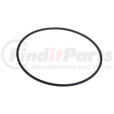 212.07.007.02 by DANA - DANA ORIGINAL OEM, BRAKES BACKUP RING, FRONT AXLE