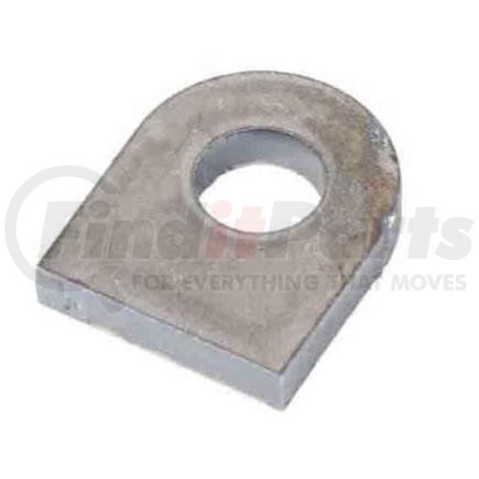 BorgWarner 525247839 BORG WARNER ORIGINAL OEM, REV. IDLER SHAFT LOCK