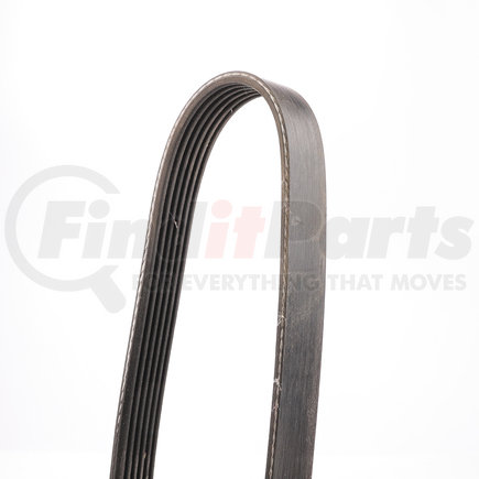 5060860DR by DAYCO - V-RIBBED, DRIVE RITE TRADITIONAL