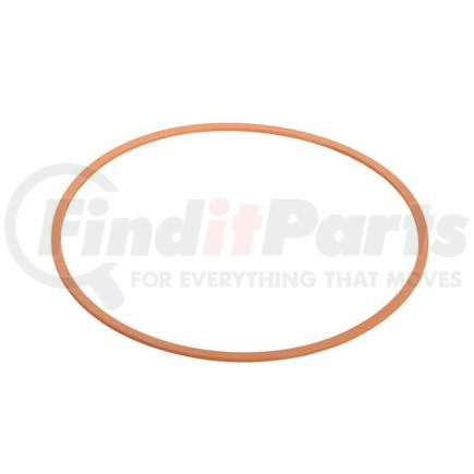 Case G32176 CASE ORIGINAL OEM, BACK-UP RING(101.22MM ID X 107.32MM OD X 1.4MM TH)