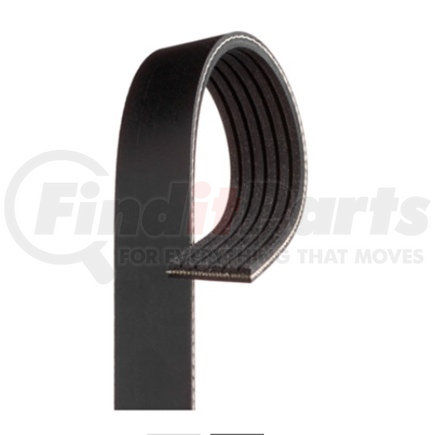 K060220 by GATES - 6 Rib 29.5in Micro-V Belt for Stillen Stage 3 Supercharger