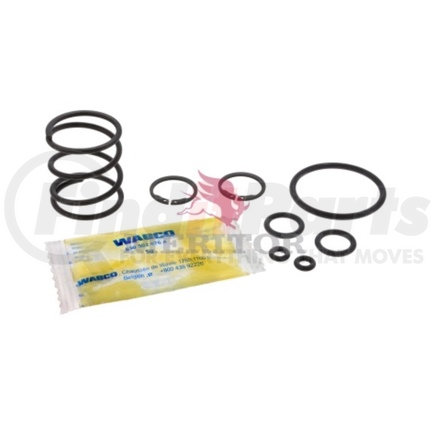 R955043 by MERITOR - Air Brake Dryer Seal - for Right Piston, with Spring and Grease Pack