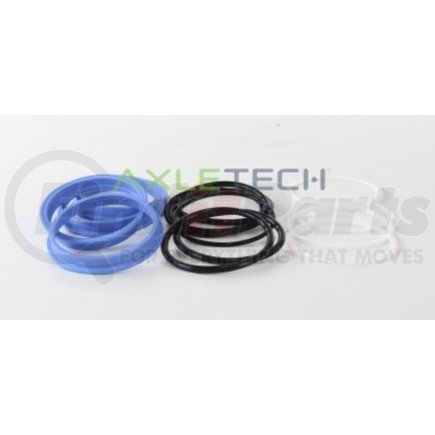 940001382A01 by AXLETECH - O-Ring Assortment - Wiper And Seal Kit