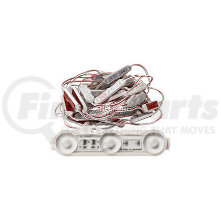 EW0133 by ECCO - LED INTERIOR LIGHT 34' 12V