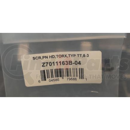 Z7011163B-04 by FEDERAL SIGNAL - SCR,PN HD,TORX,TYP TT,8-3