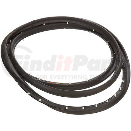 15975379 by GM - WEATHERSTRIP ASM FRT S/D