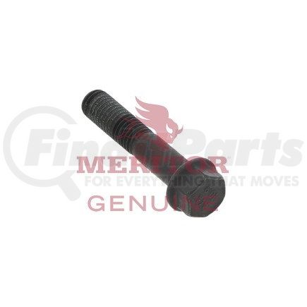 41X1703 by MERITOR - Screw Cap