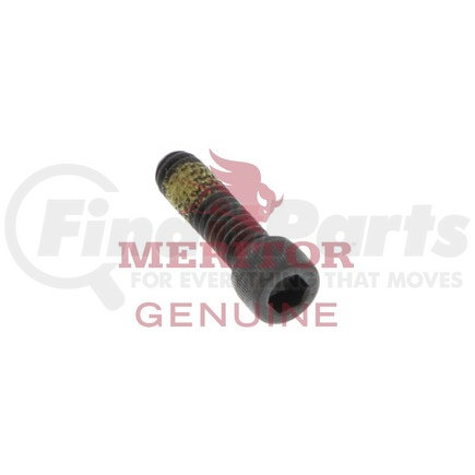 10X1519 by MERITOR - Screw Cap - Socket Head