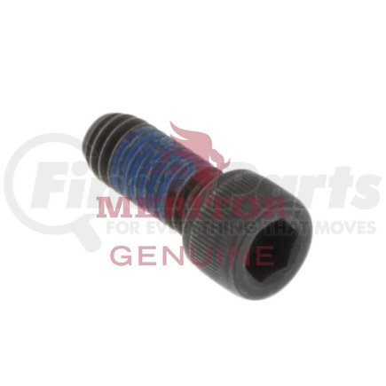 10X1465 by MERITOR - Screw Cap - Socket Head