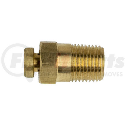 84006 by WORLD AMERICAN - Multi-Purpose Fitting - Brass, 1/8" NPT Tube, Push to Connect