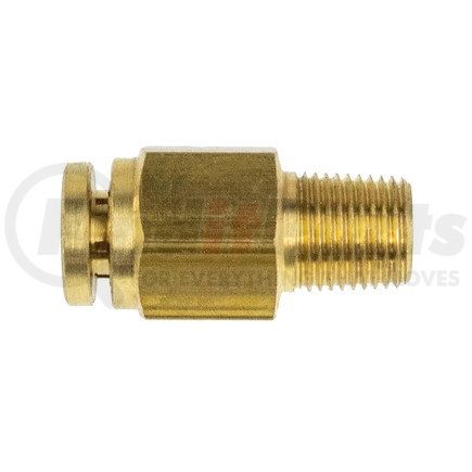 WA01-5802 by WORLD AMERICAN - BRASS PLC MALE CONNECTOR 1/4"