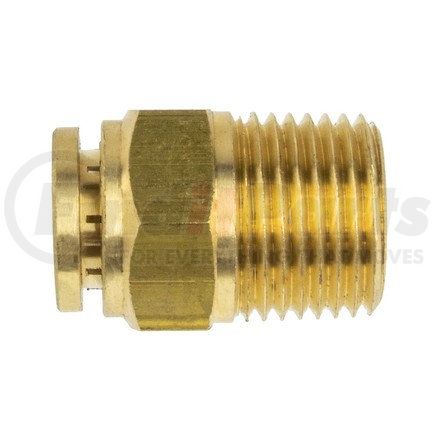 WA01-5811 by WORLD AMERICAN - BRASS PLC MALE CONNECTOR 1/2"
