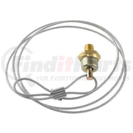 WA12105 by WORLD AMERICAN - Manual Drain Valve - with 5ft Cable