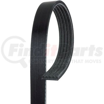 5K316 by ACDELCO - V-Ribbed Serpentine Belt