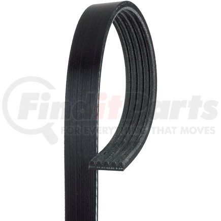 5K317 by ACDELCO - V-Ribbed Serpentine Belt