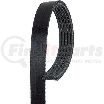 5K455 by ACDELCO - V-Ribbed Serpentine Belt