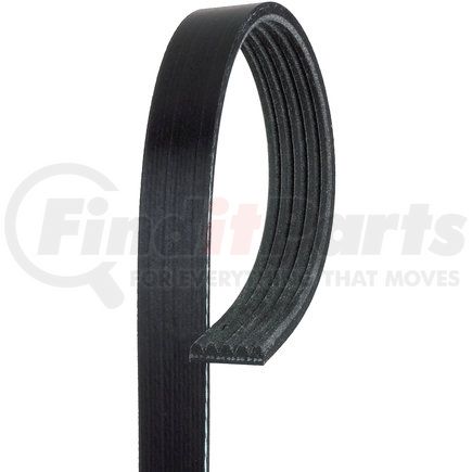 5K630 by ACDELCO - V-Ribbed Serpentine Belt