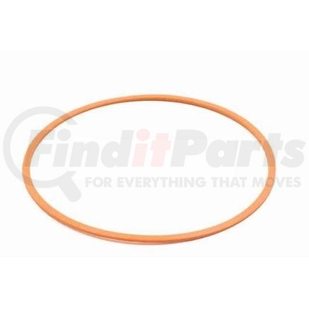 Case-Replacement G109299 RING, BACK-UP