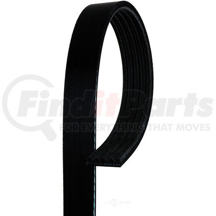 5K500 by ACDELCO - V-Ribbed Serpentine Belt