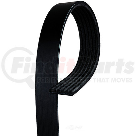 6K586 by ACDELCO - V-Ribbed Serpentine Belt