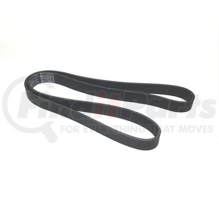 6100736 by DAYCO - Poly Rib Belt - 10 Ribs, 1.38 in. Width, 73.622 in. Length, EPDM, Double Sided