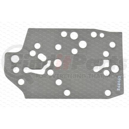 248463 by DANA - DANA SPICER Gasket-Control Cover