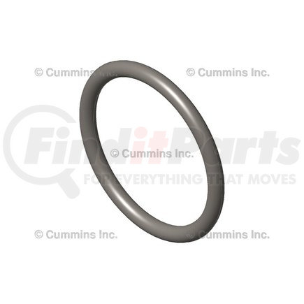 216187 by CUMMINS - Seal Ring / Washer